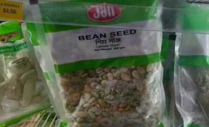 Bean Seed